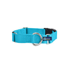 2 Hounds Design Martingale w/ buckle: Turquoise, 1" L