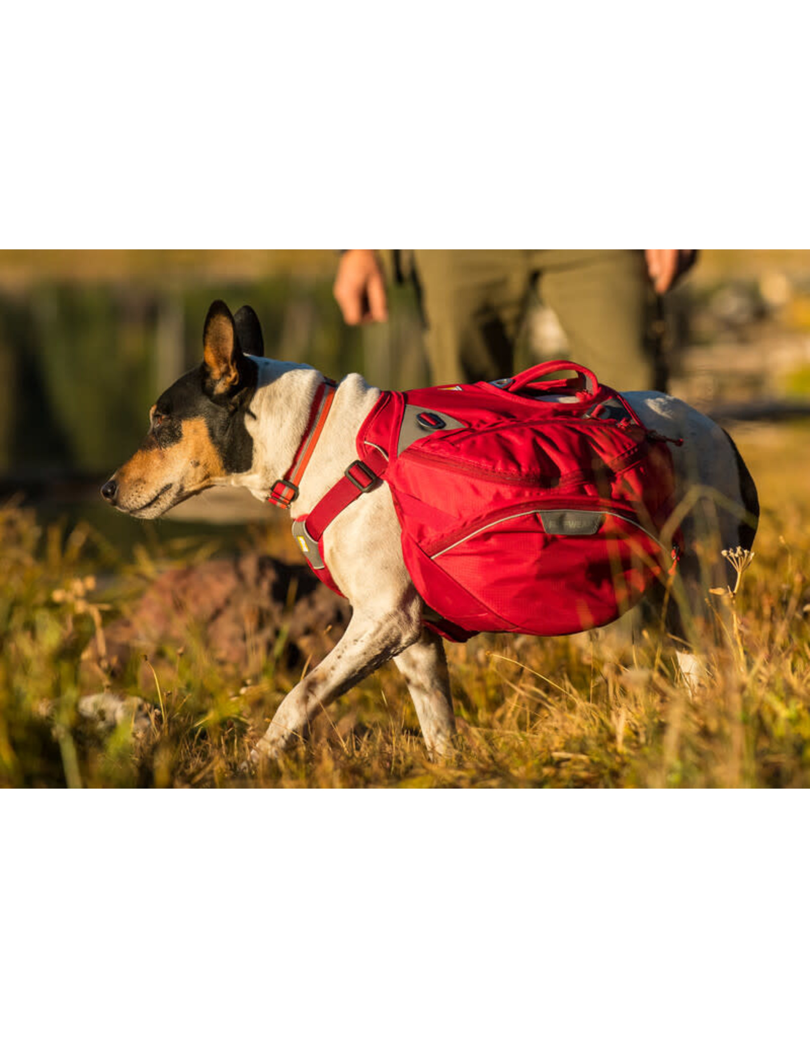 Palisades Pack: Red Currant, S