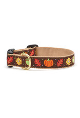 Up Country Harvest Time Collar: Wide,  M