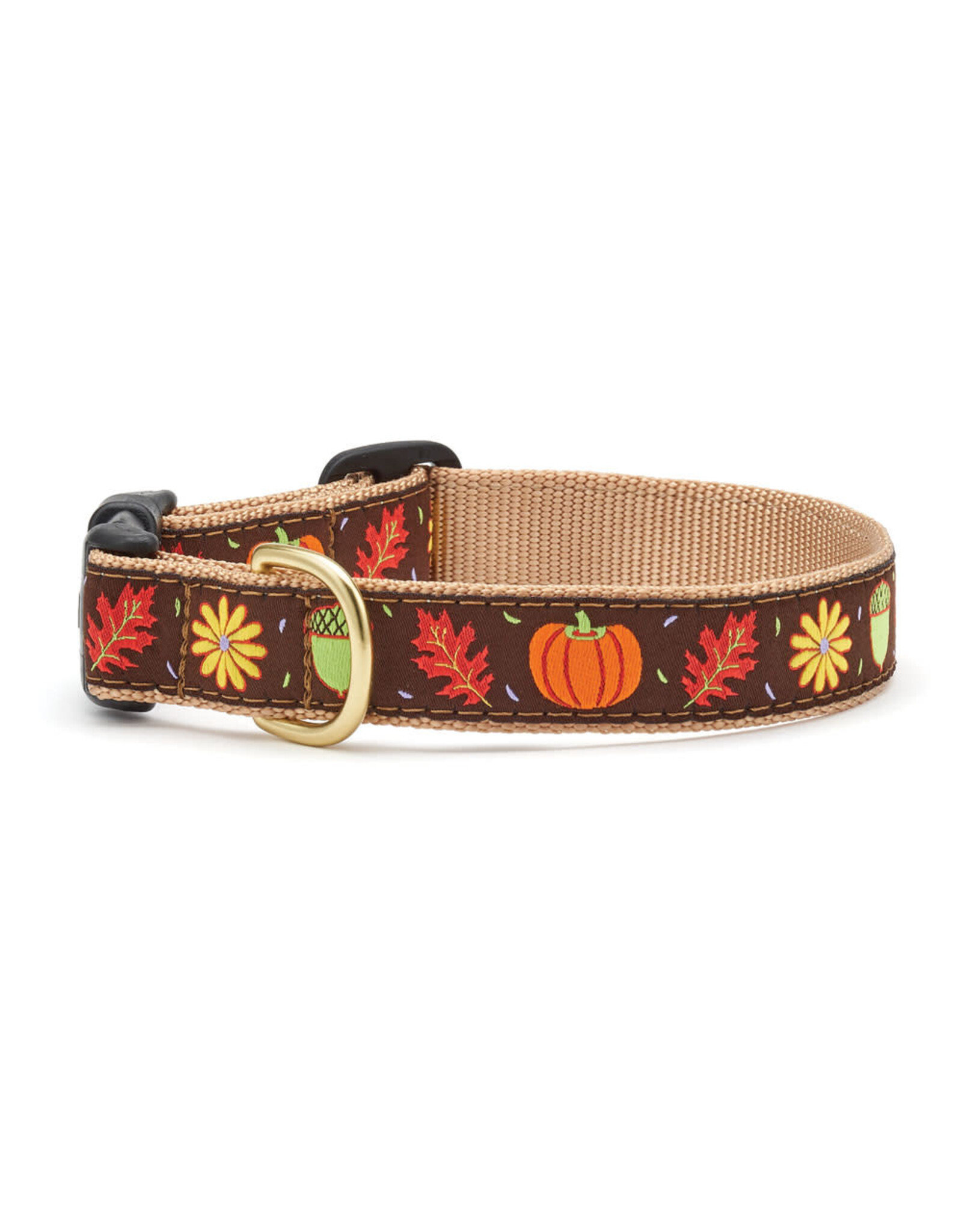 Up Country Harvest Time Collar: Wide,  M