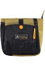 OllyDog OllyDog BackCountry Day Bag: Amber Green, os