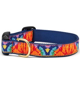 Up Country Feelin' Groovy Collar: Wide, M