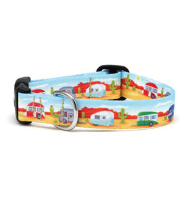 Up Country Camp Out Sport Collar: 1" wide, M