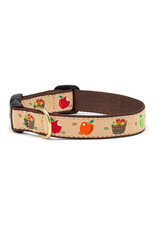 Up Country Apple of My Eye Collar: Narrow,  S