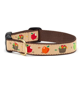 Up Country Apple of My Eye Collar: Narrow,  S