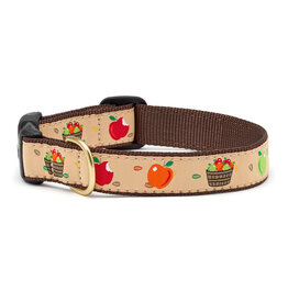 Up Country Apple of My Eye Collar: Wide,  M