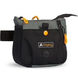 OllyDog OllyDog BackCountry Day Bag: Juniper, os