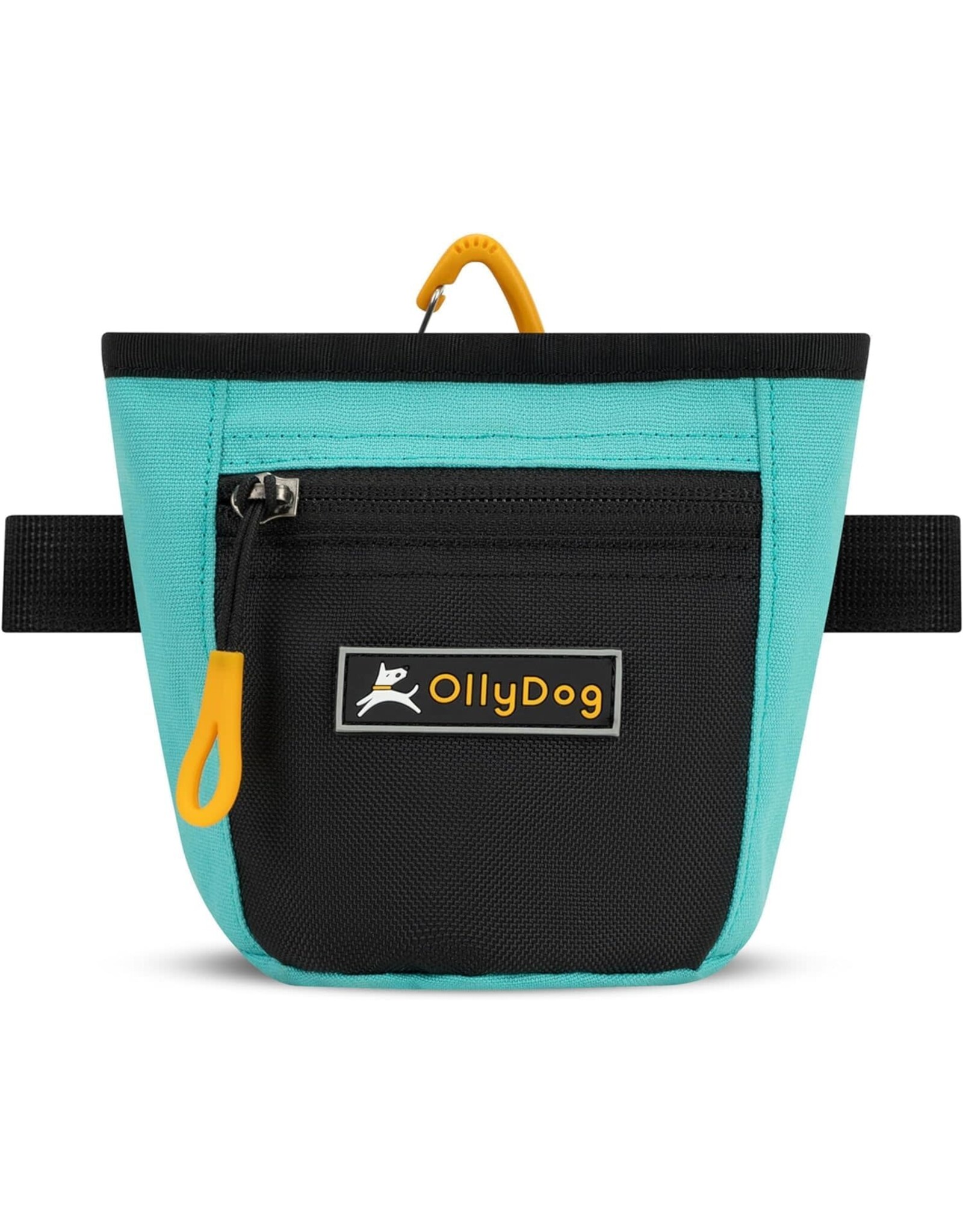 OllyDog Goodie Treat Bag: Bright Aqua, os
