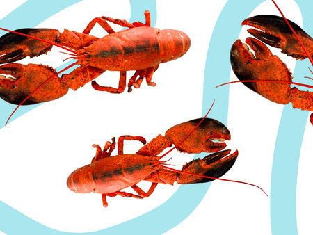 Le Homard du Québec est Arrivé!