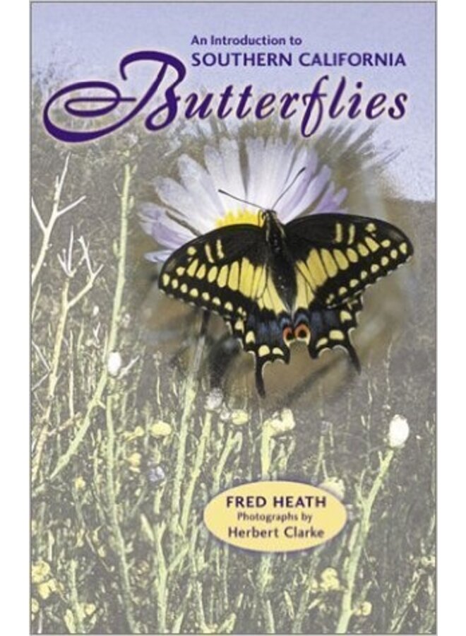 An Introduction to Southern California Butterflies