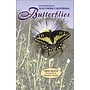 An Introduction to Southern California Butterflies