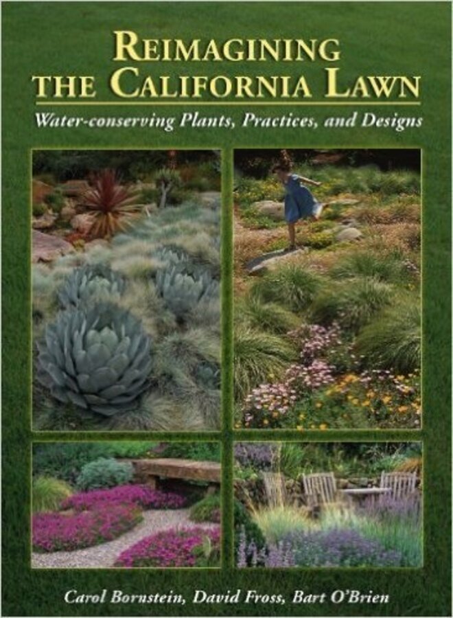 Reimagining The California Lawn