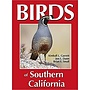 Birds of Southern California