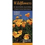 QuickReference-Wildflowers of Southern California