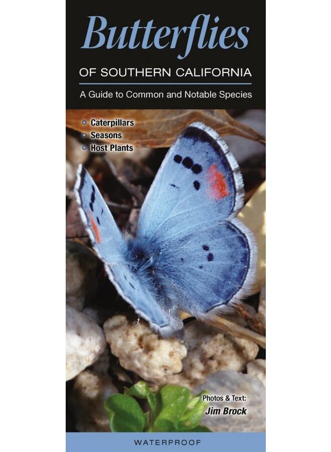 QuickReference-Butterflies of Southern California