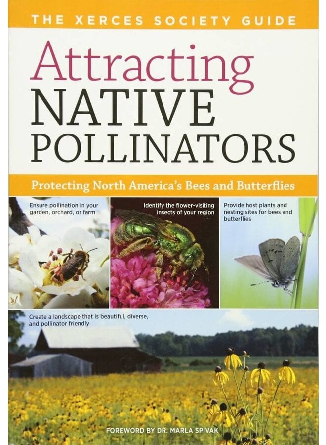 Attracting Native Pollinators: Protecting North America's Bees and Butterflies