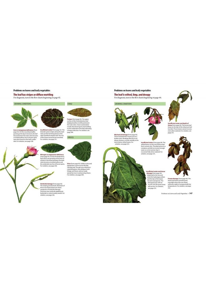 What's Wrong With My Plant? (And How Do I Fix It?): A Visual Guide to Easy Diagnosis and Organic Remedies