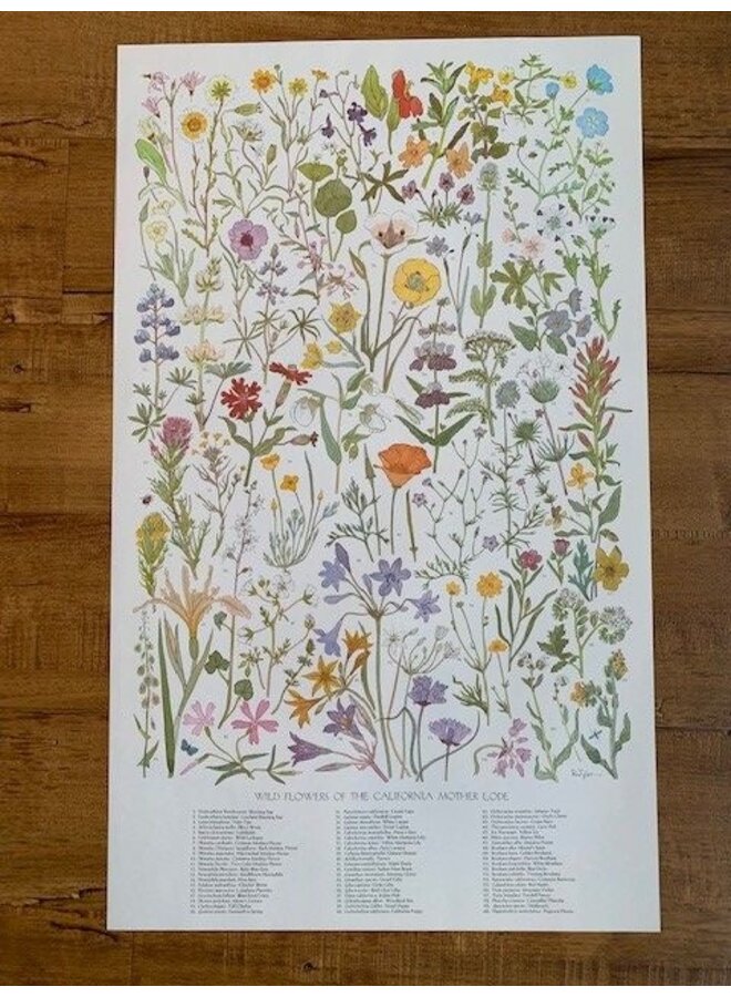 Vintage Wildflower Poster