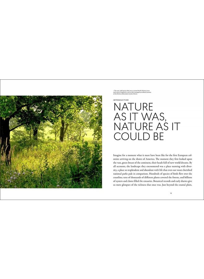 Planting in a Post-Wild World: Designing Plant Communities for Resilient Landscapes