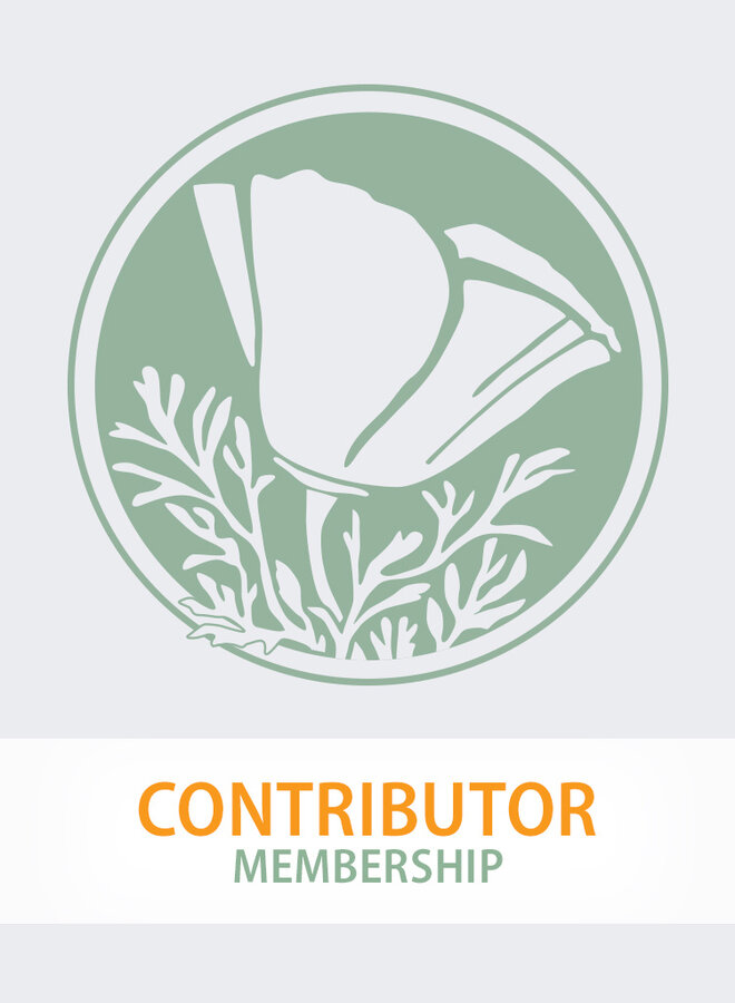 Annual Membership - Contributor