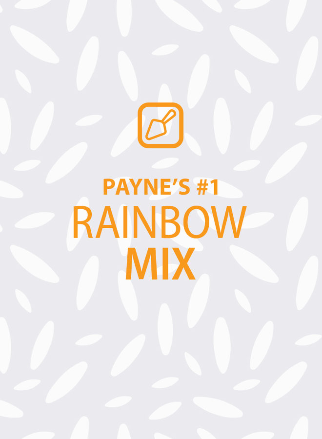 Payne's #1: Rainbow Mix