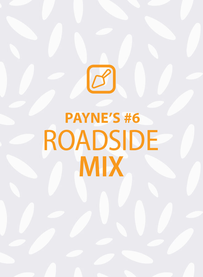 Payne's #6: Roadside Mix