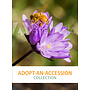 Adopt-an-Accession "Collection"