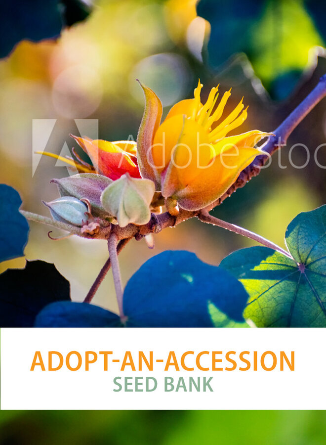 Adopt-an-Accession "Seed Bank"