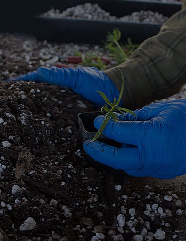 Support Ecological Harmony in California