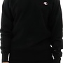RW SMALL C CREW SWEATER