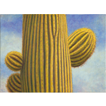 Joy Huckins-Noss "SAGUARO TRIO" 12 x 16 Oil Painting