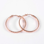 Fashion Jewelry ROSE STAINLESS HOOP EARRINGS FJE1G