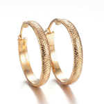 Fashion Jewelry GOLD STAINLESS HOOP EARRINGS FJE6F