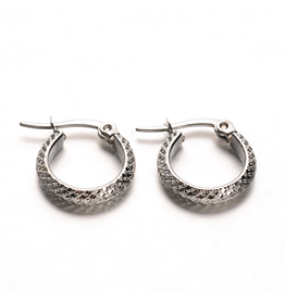 Fashion Jewelry STAINLESS HOOP EARRINGS FJE3B