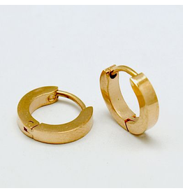 Fashion Jewelry GOLD STAINLESS HUGGIE EARRINGS FJE2H