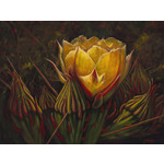 Joy Huckins-Noss "GOLDEN PRIZE" 18x24 Oil Painting