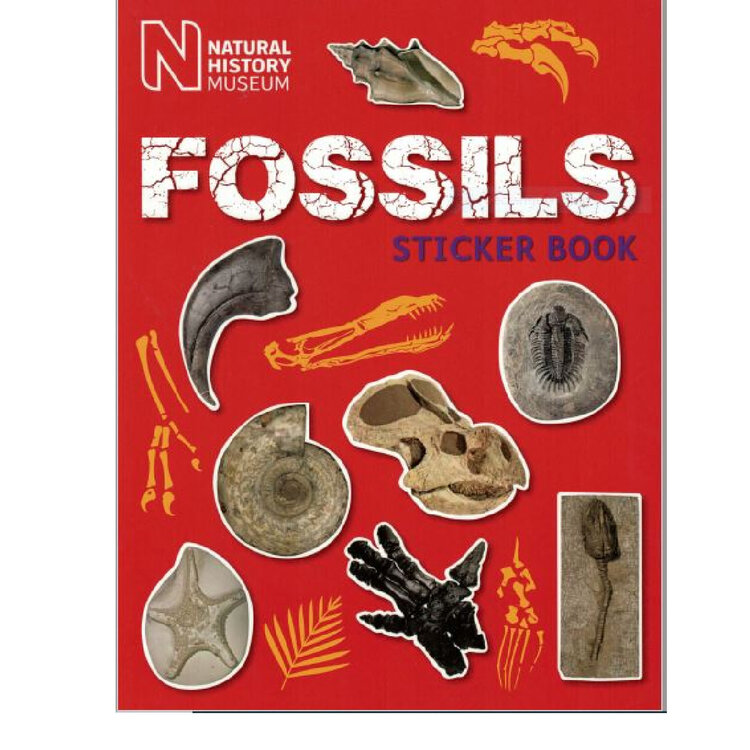 Natural History Museum Fossils Sticker Book