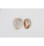 Natural Red Abalone Shell 3"