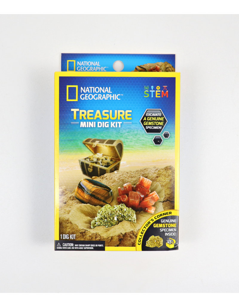 Treasure Mini Dig Kit