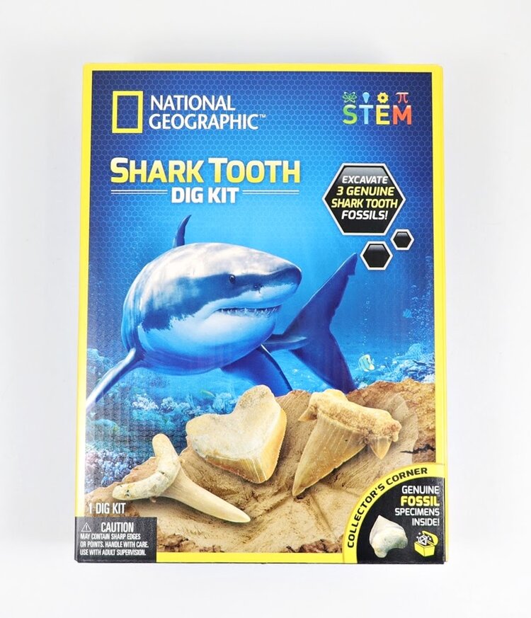 National Geographic Shark Tooth Dig Kit