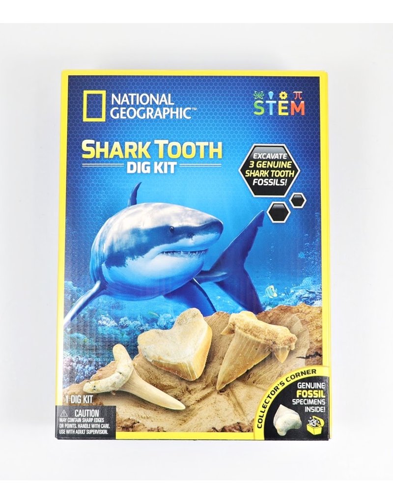 Discover Shark Teeth Dig 