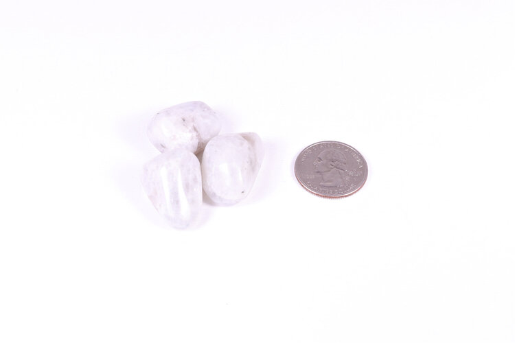 Rainbow Moonstone Tumbled India 11-25g