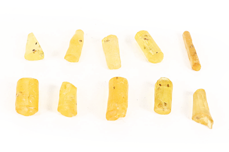 Copal with Insects- Small