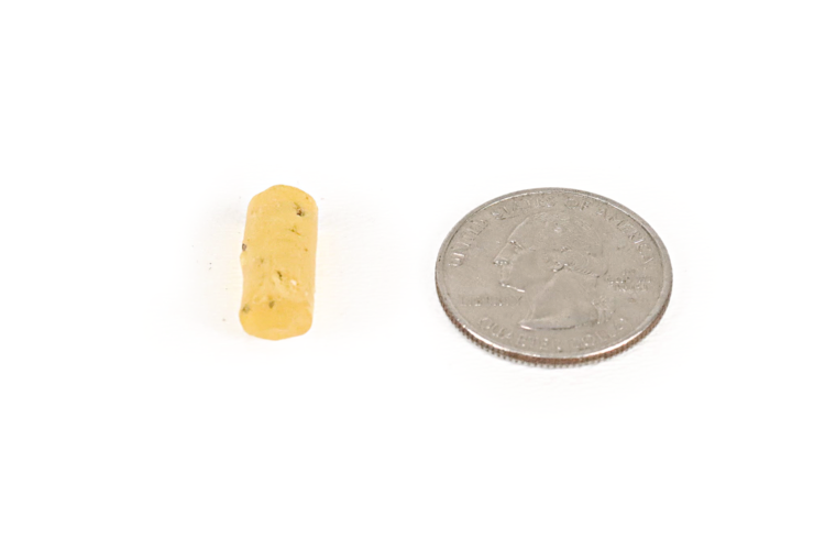 Copal with Insects- Small