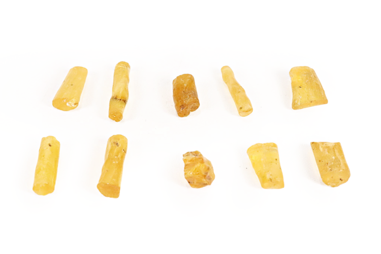 Copal with Insects- Large