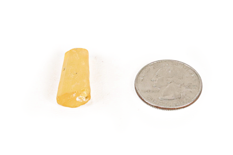 Copal with Insects- Large