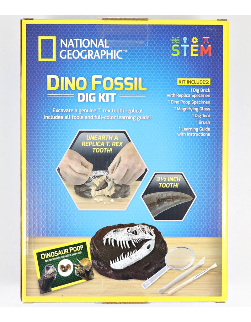 Dino Fossil Dig Kit - Mama's Minerals