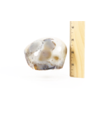 Dendritic Agate Nodule Face Polish 3"