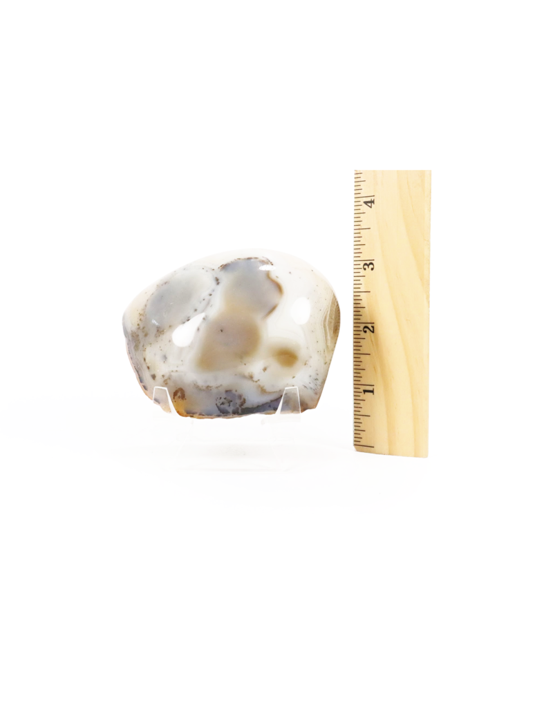 Dendritic Agate Nodule Face Polish 3"