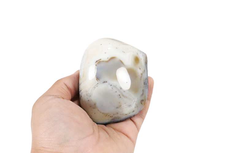 Dendritic Agate Nodule Face Polish 3"